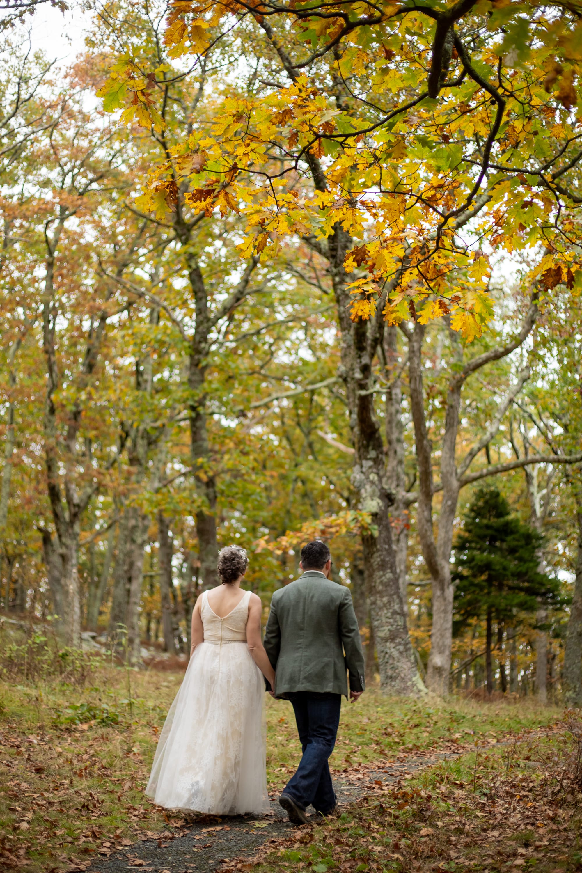 Couple eloping in Shenandoah National Park during peak fall foliage, Virginia