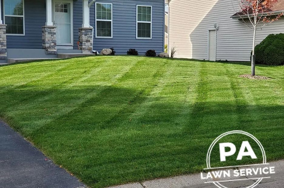 Find a Trusted Lawn Fertilizer Company Near Me