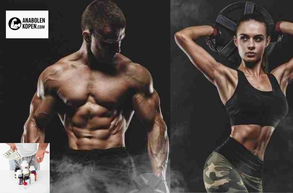 Dianabol kopen: veilig en discreet bij betrouwbare leverancier