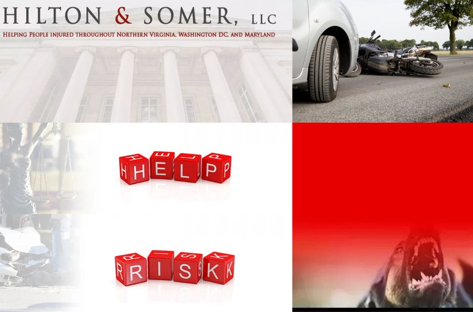 Fairfax Dog Bite Attorney: Skilled Help for Your Legal Rights