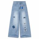 Jean Destroyed Baggy 2