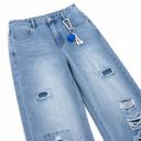 Jean Destroyed Baggy 1