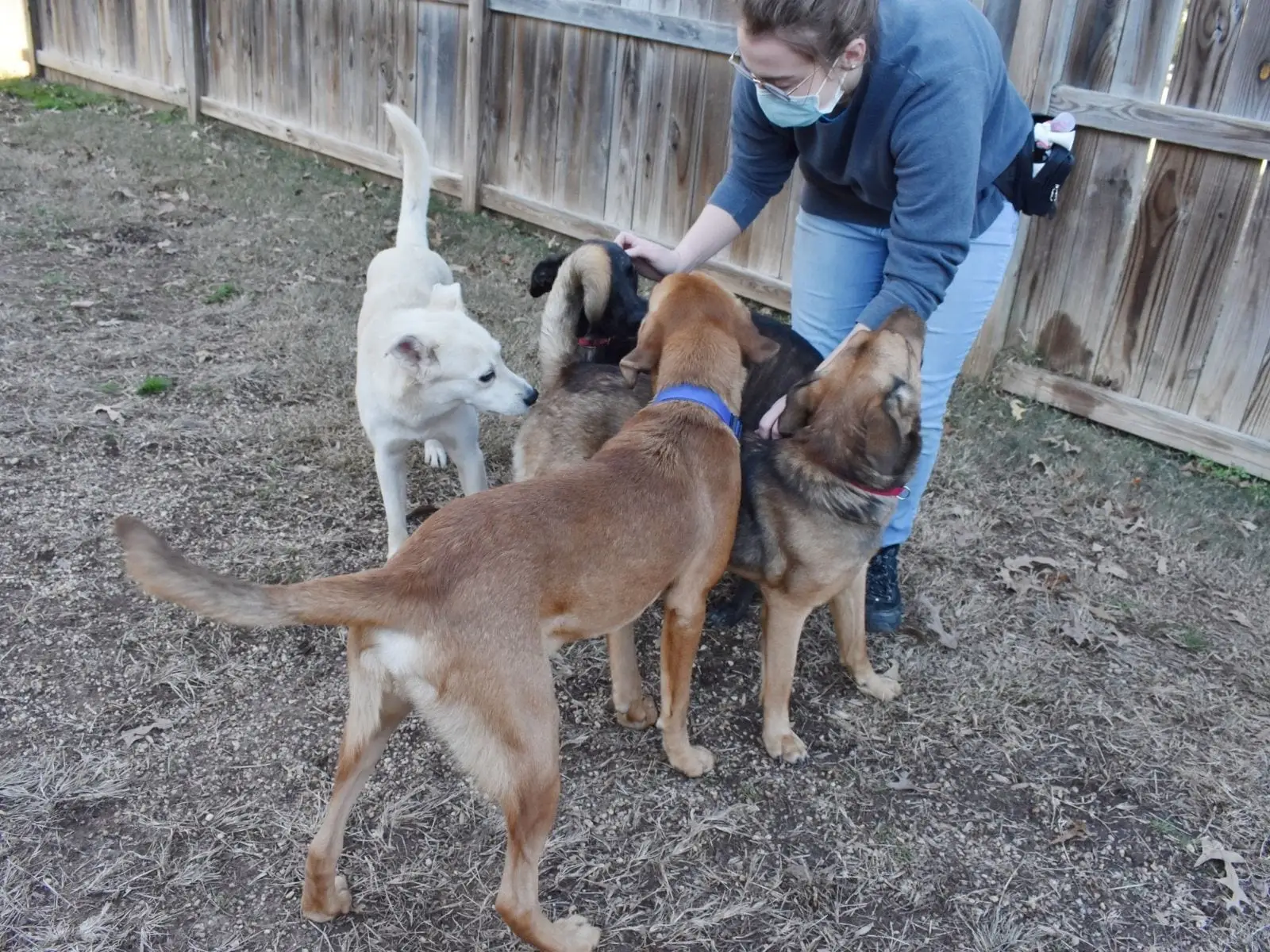 Homeward Trails Animal Rescue Giving A Second Chance to Homeless Pets