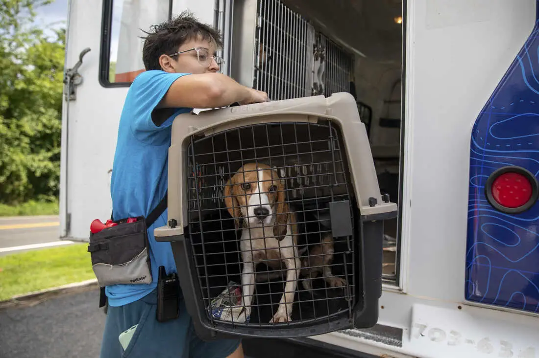 Homeward Trails Animal Rescue Giving A Second Chance to Homeless Pets