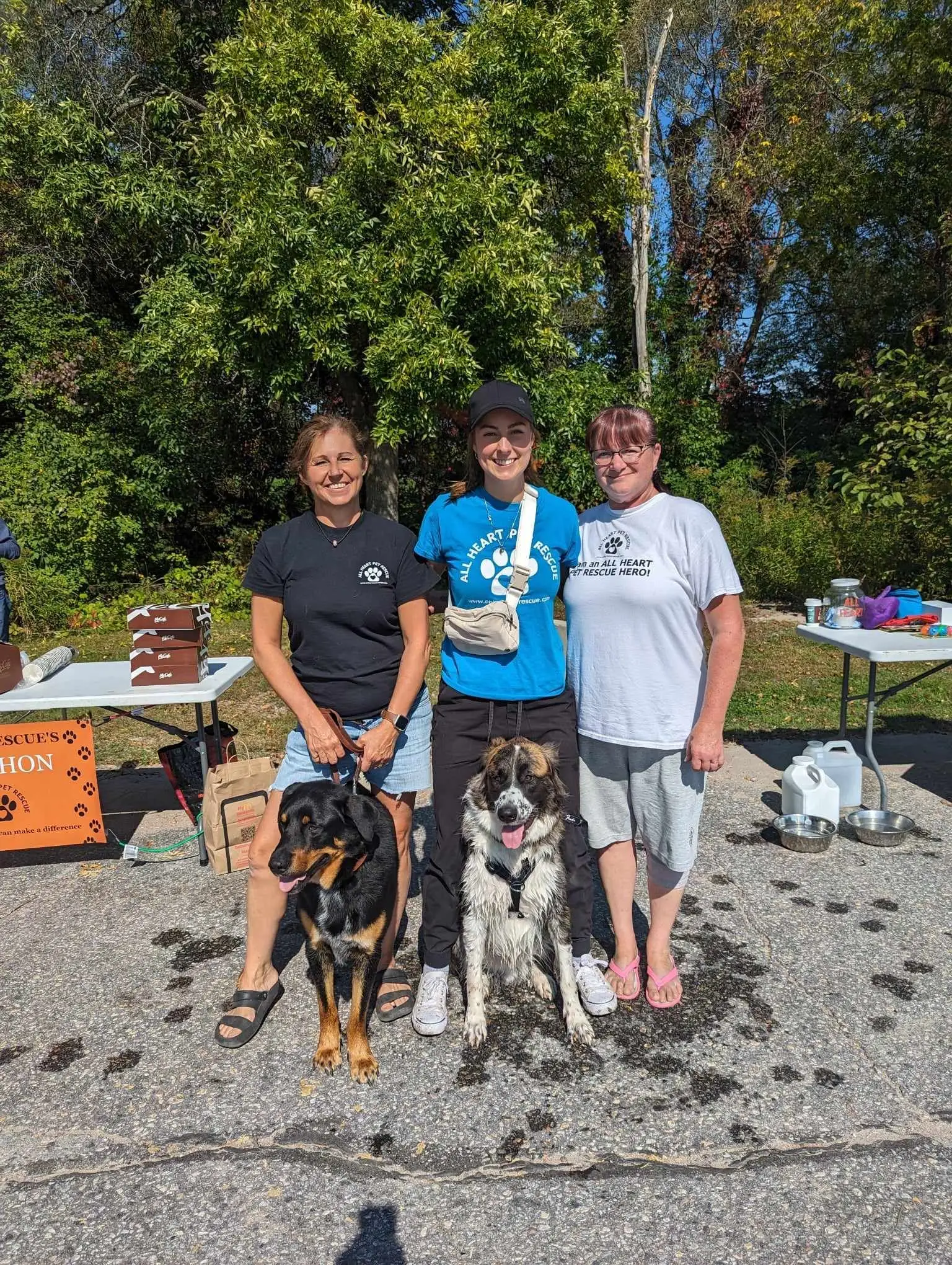 Heart Animal Rescue Saving Lives One Heartbeat at a Time