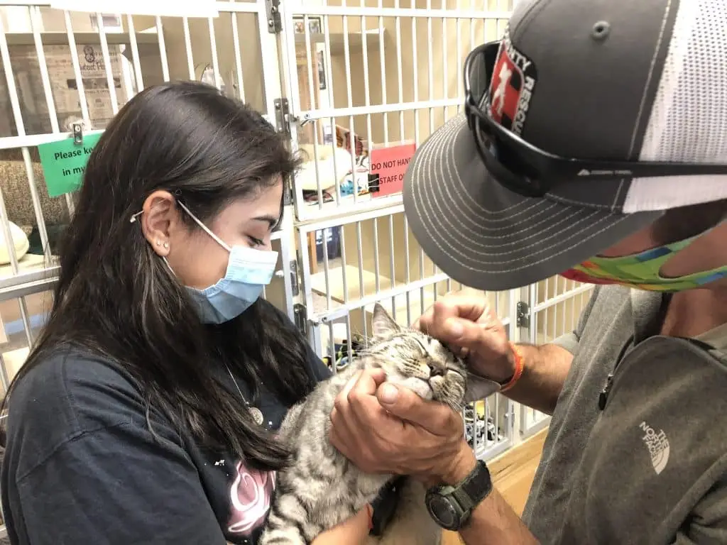 Troy Animal Rescue Project Saving Lives One Paw at a Time