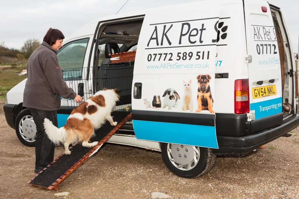 How AK Cat and Dog Rescue is Saving Furry Lives