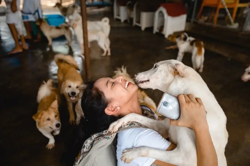 Saving Lives The Inspiring Work of MBY Pet Rescue and Sanctuary