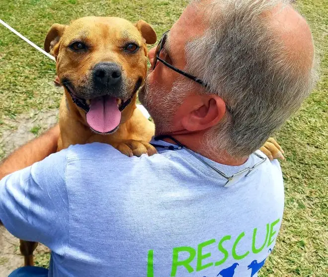 How Local Rescue Groups Are Making a Big Difference in Your Community