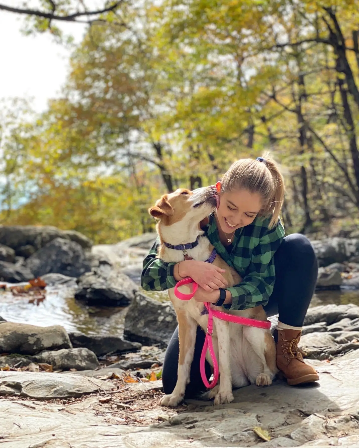 Brother Wolf Animal Rescue Adoption Giving Homeless Animals a Second Chance