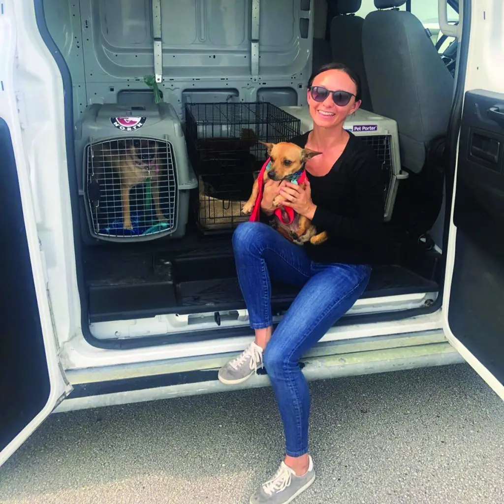 Barky Pines Animal Rescue Saving Lives One Pet at a Time