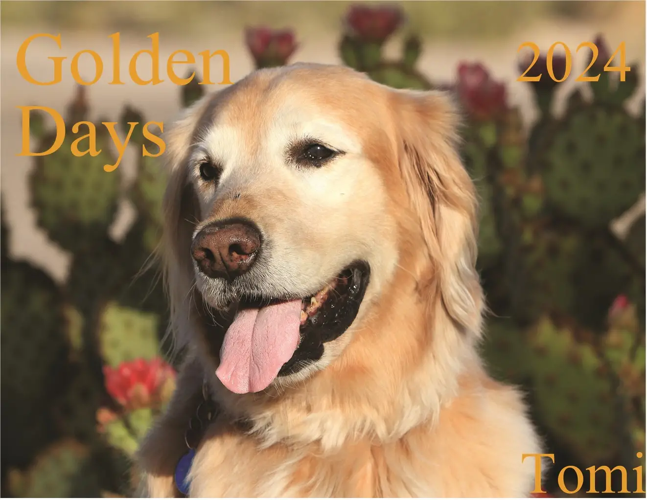 Find Golden Retriever Rescue Dogs Near Me A Guide to Adopting Your New Best Friend