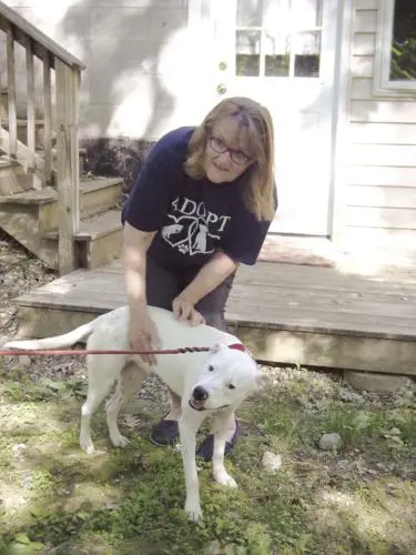 Grassroots Animal Rescue How Ordinary People Are Making a Difference