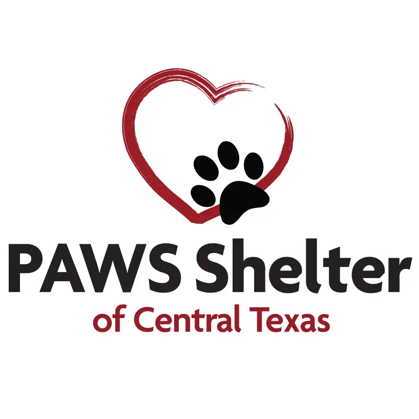 Paw Animal Welfare Improving the Lives of Domesticated Animals