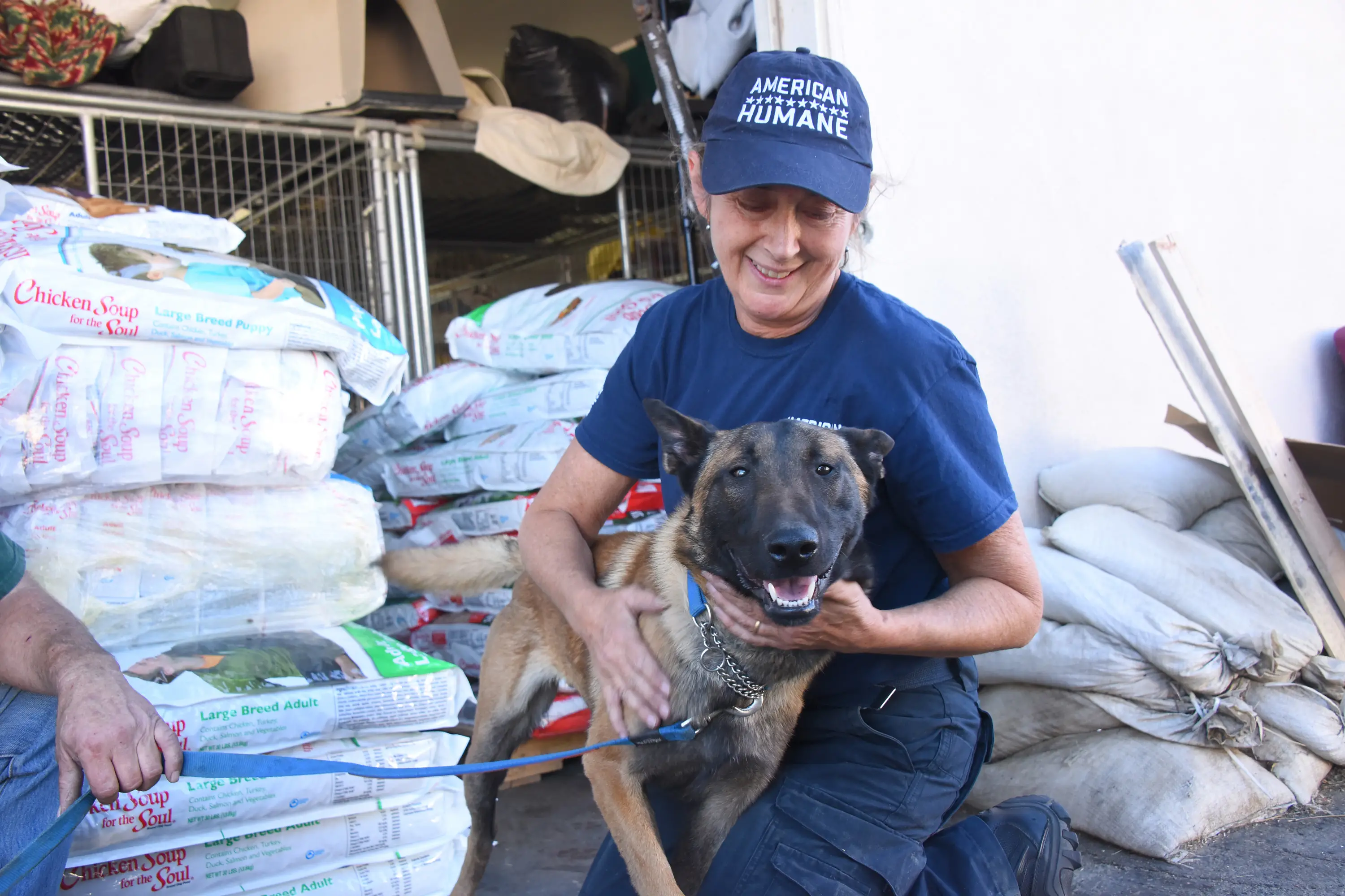 East Coast Animal Rescue Saving Lives and Making a Difference