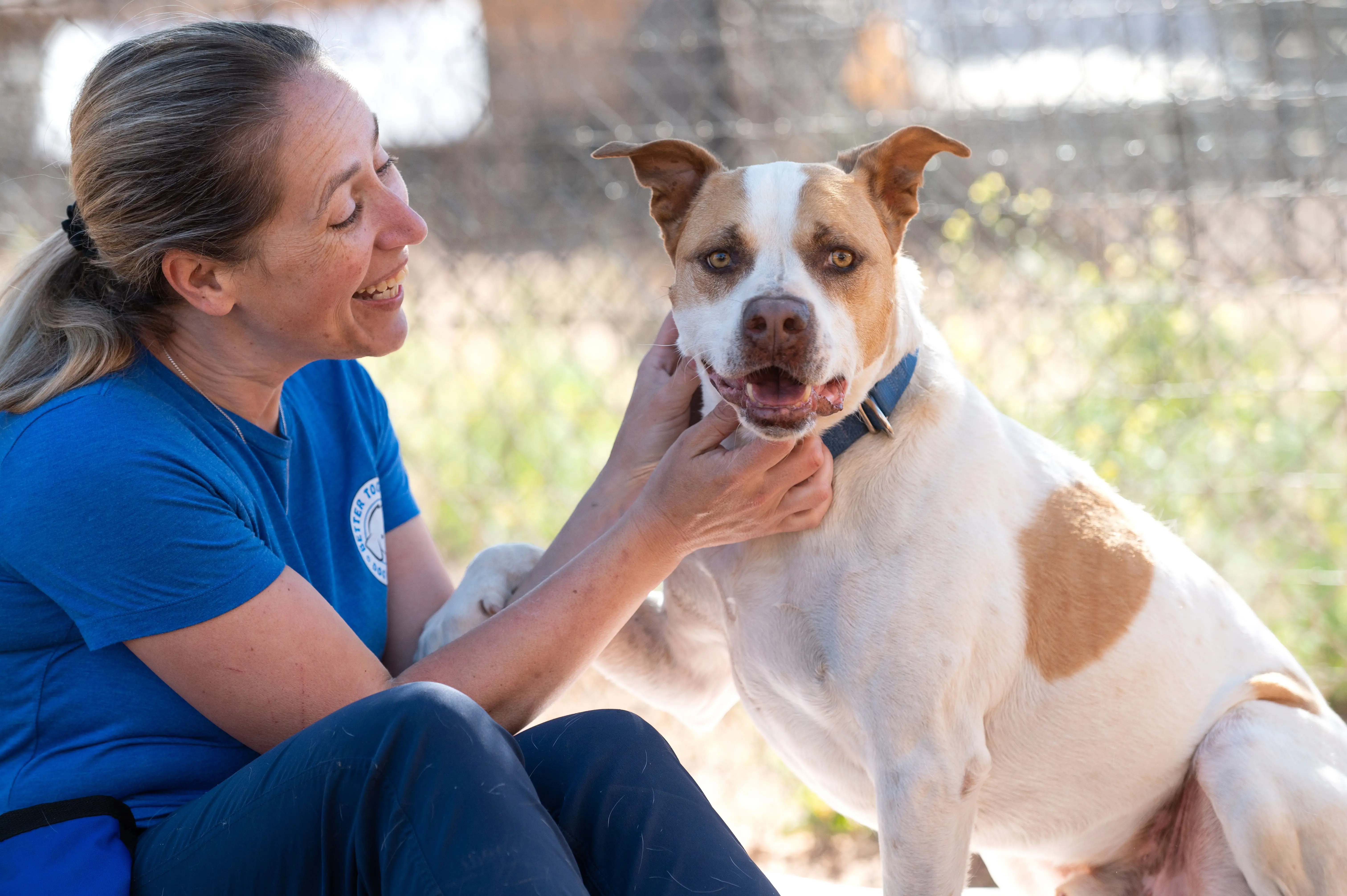 East Coast Animal Rescue Saving Lives and Making a Difference