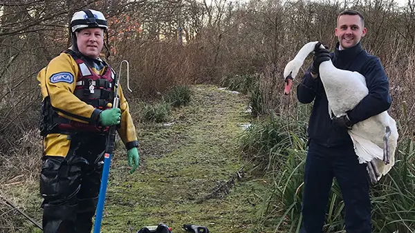 Yggdrasil Urban Wildlife Rescue Saving Our City's Wildlife