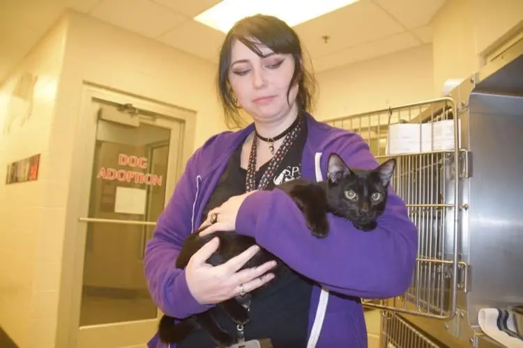 Why You Should Consider Adopting a Pet from SPCA Albrecht Center for Animal Welfare
