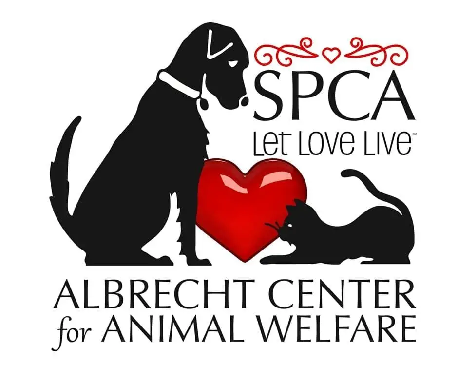 Why You Should Consider Adopting a Pet from SPCA Albrecht Center for Animal Welfare