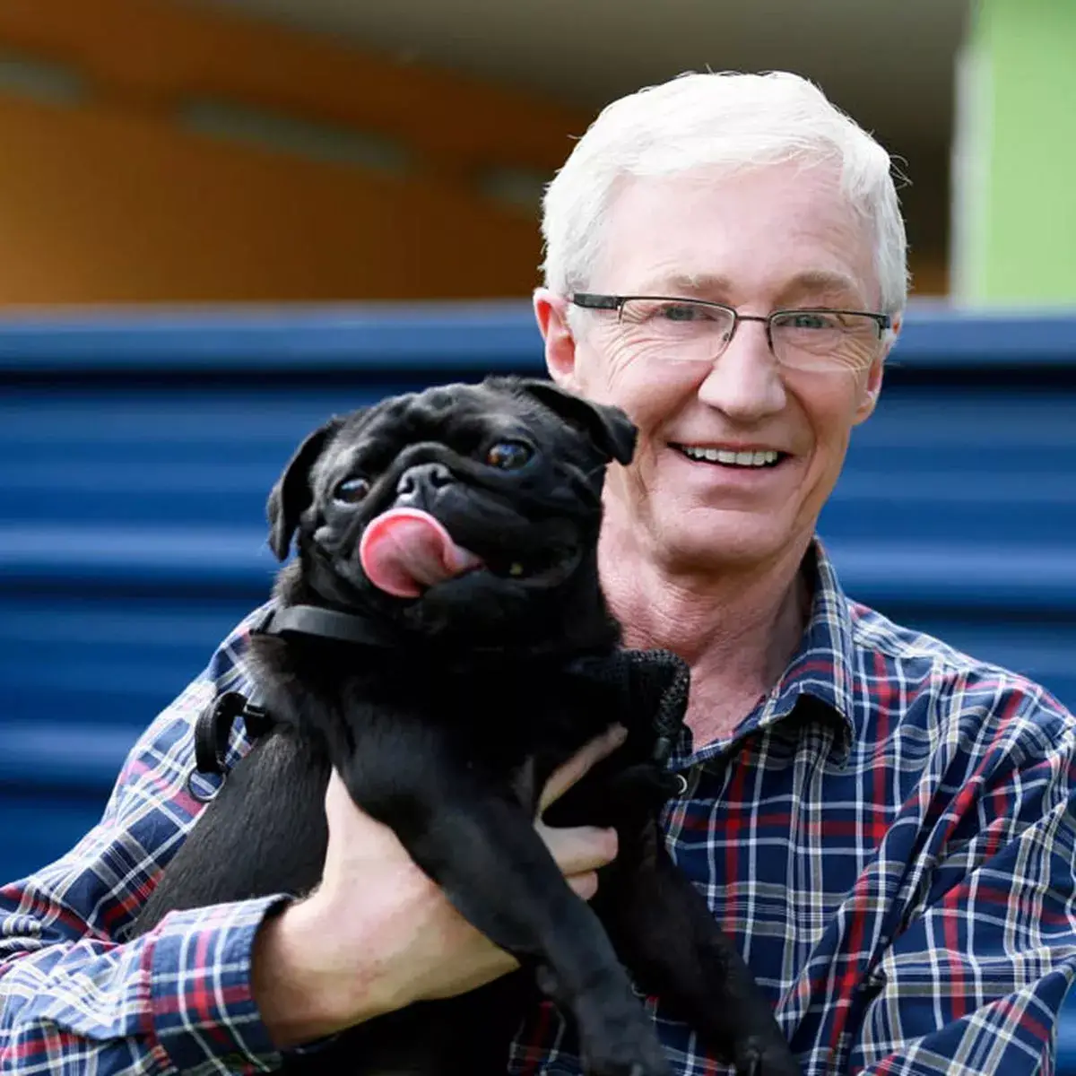 Adopting a Furry Friend at Battersea Dogs Home