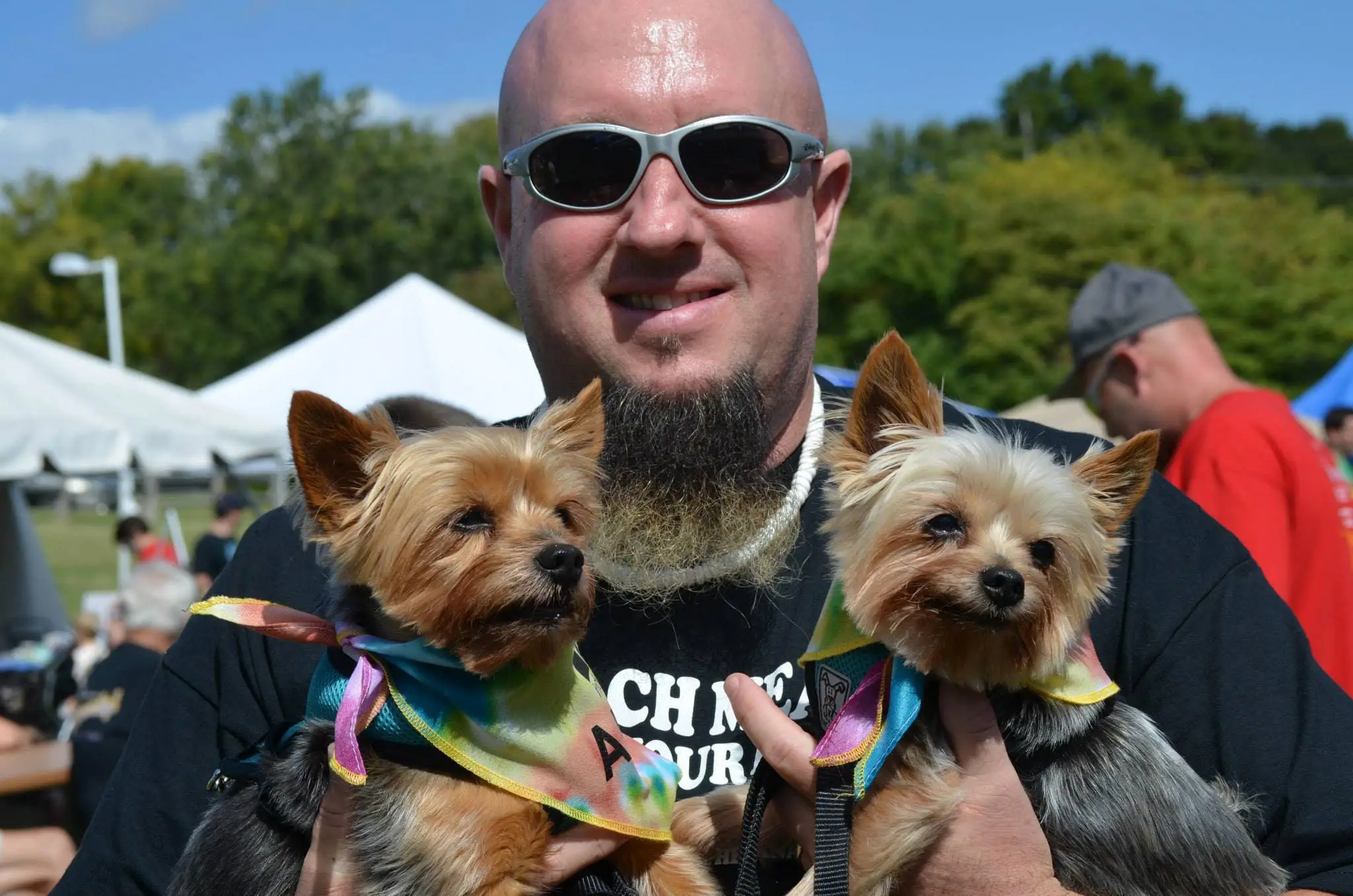 Bucks County Dachshund Rescue Finding Loving Homes for Abandoned Pups