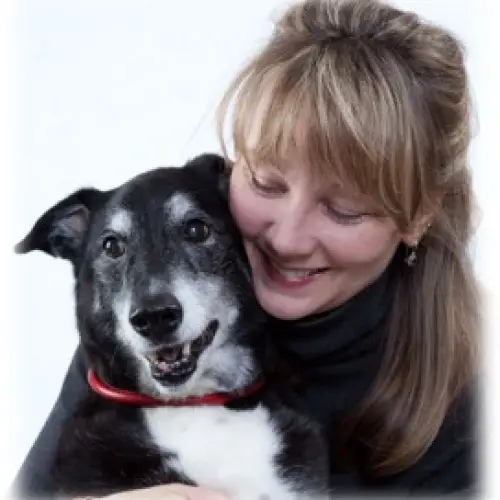 Adopt Your Fur-ever Friend A Guide to Danbury Animal Welfare Society Adoption