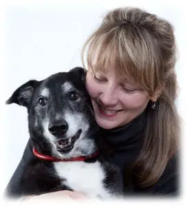 Adopt Your Fur-ever Friend A Guide to Danbury Animal Welfare Society Adoption