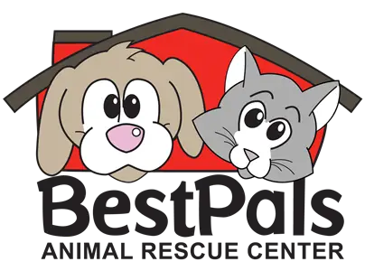 Pal Rescue Saving Lives One Furry Friend at a Time