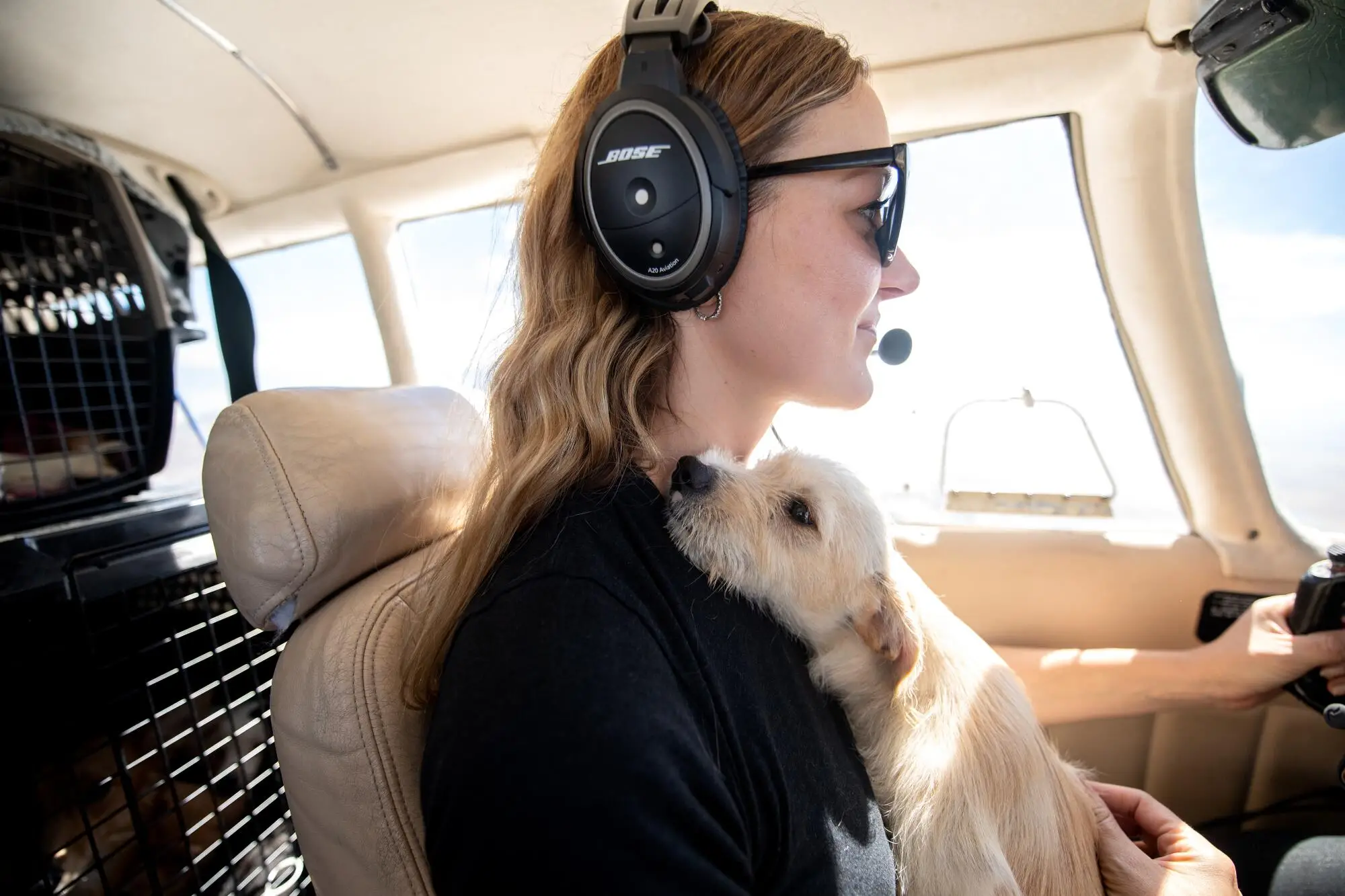 Tiny Tails Dog Rescue Giving Abandoned Dogs a New Home