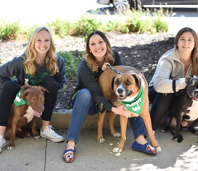 Tiny Tails Dog Rescue Giving Abandoned Dogs a New Home