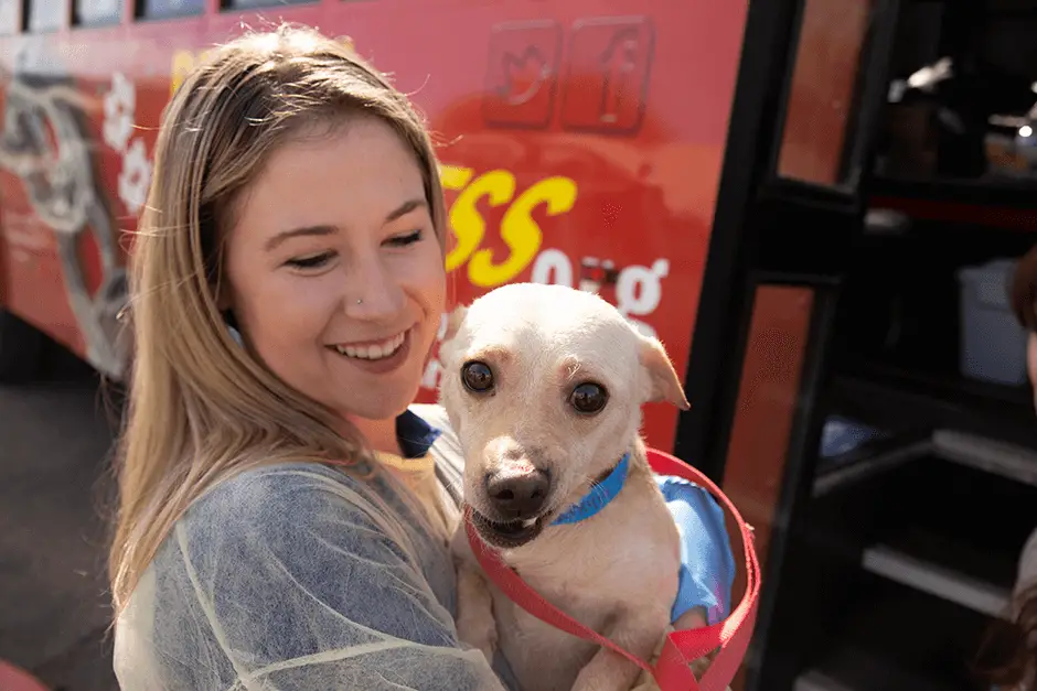 How Paws Angels Dog Rescue Is Making a Difference in Animal Welfare