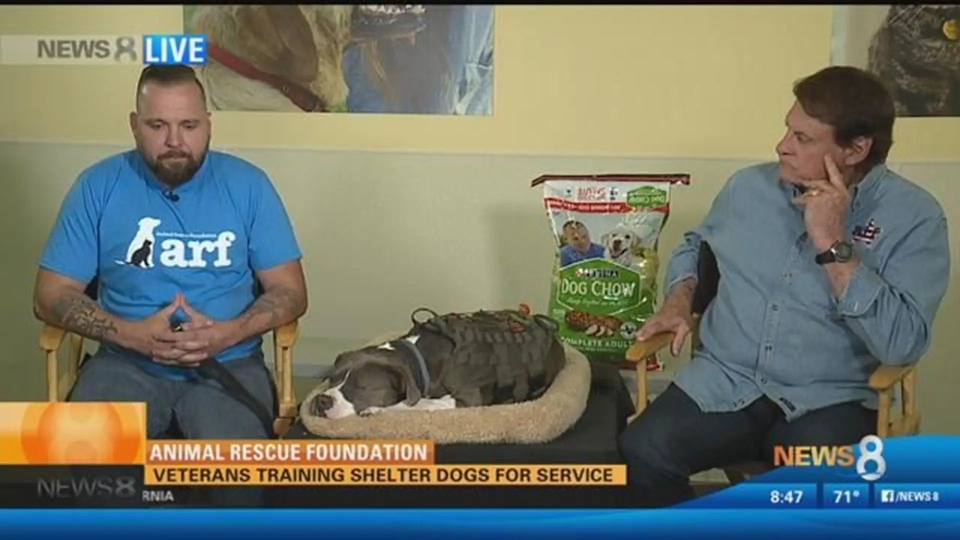 How Animal Rescue and Shelter Foundation Saves Lives -