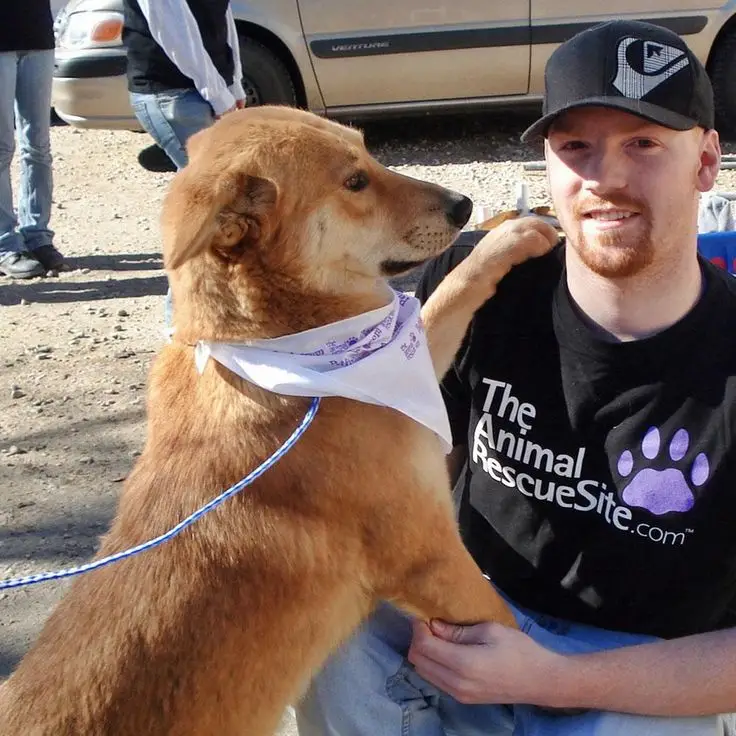 How Animal Rescue and Shelter Foundation Saves Lives -