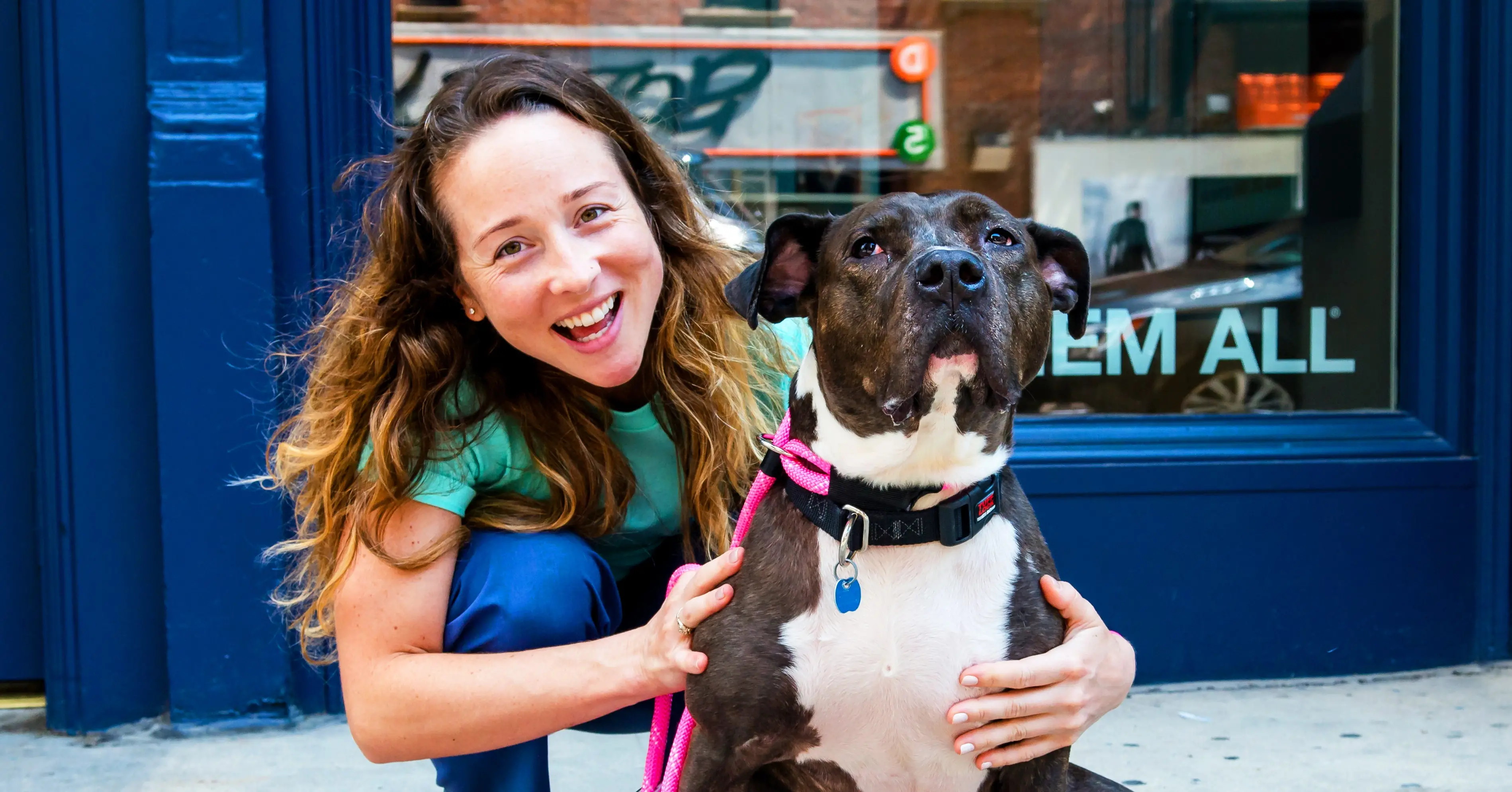 City Dogs City Kitties Rescue Saving Lives One Furry Friend at a Time