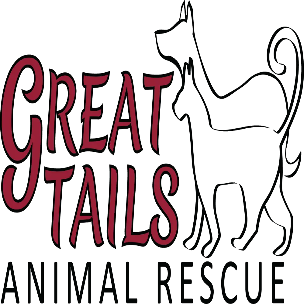 How Tails Animal Rescue is Making a Difference in the Lives of Animals