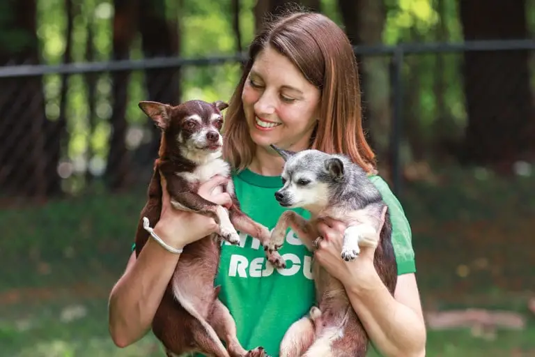 Vintage Dog Rescue Giving Senior Dogs a Second Chance