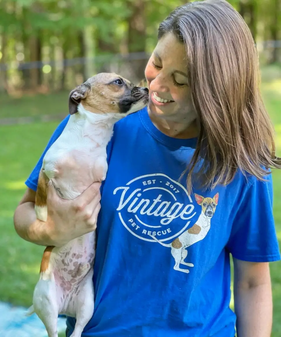 Vintage Dog Rescue Giving Senior Dogs a Second Chance