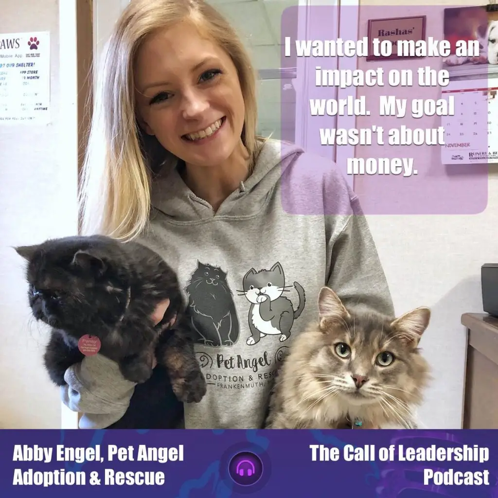 Angel Cat Rescue Saving Feline Lives One Meow at a Time