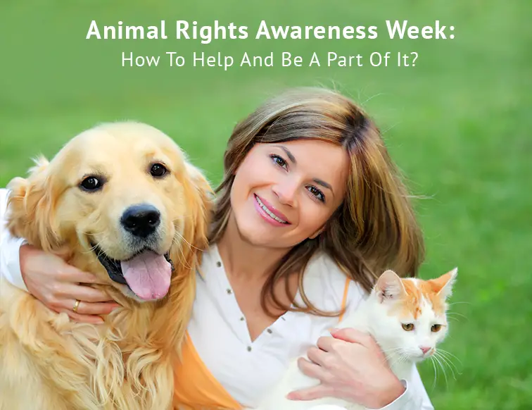 Angel Paws Advocates - Empowering Pet Owners to be Their Best Advocate