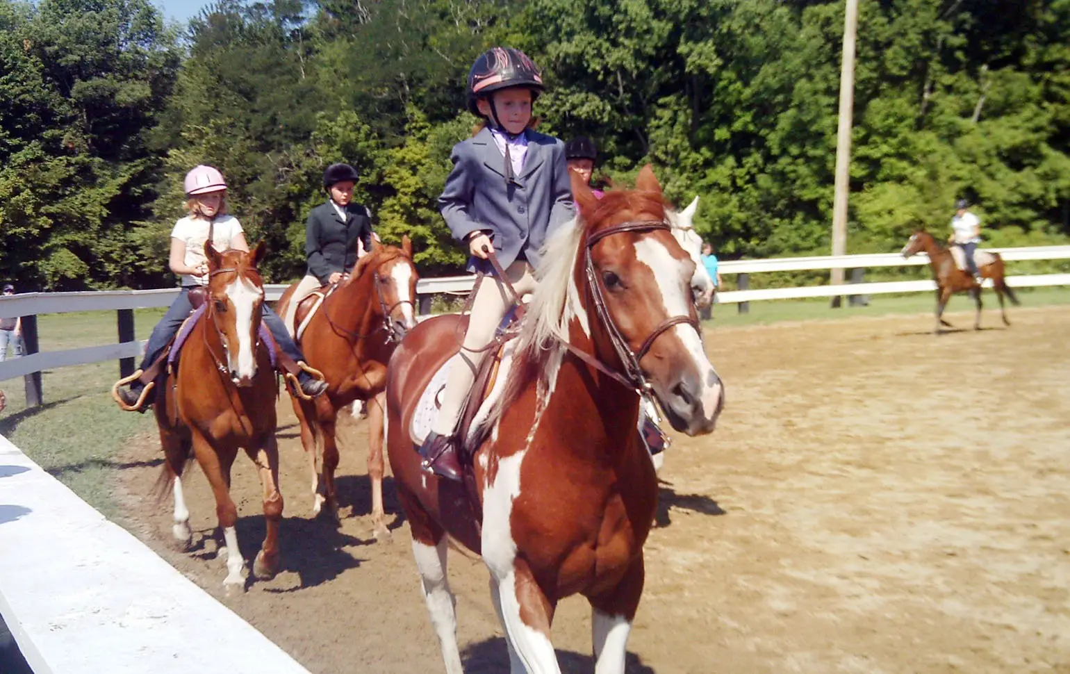 How Horse Haven Rescue is Saving Horses from Neglect and Abuse