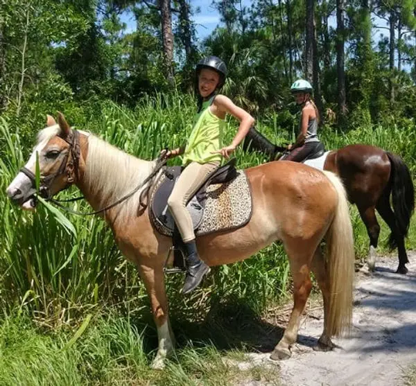 How Horse Haven Rescue is Saving Horses from Neglect and Abuse