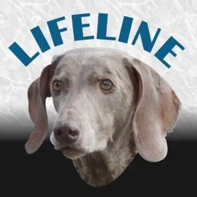 Lifeline Pet Rescue Saving Animals One Life at a Time