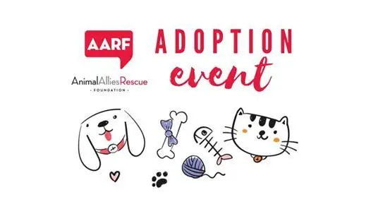 Why AARF Pet Adoption Could Be Your Best Option
