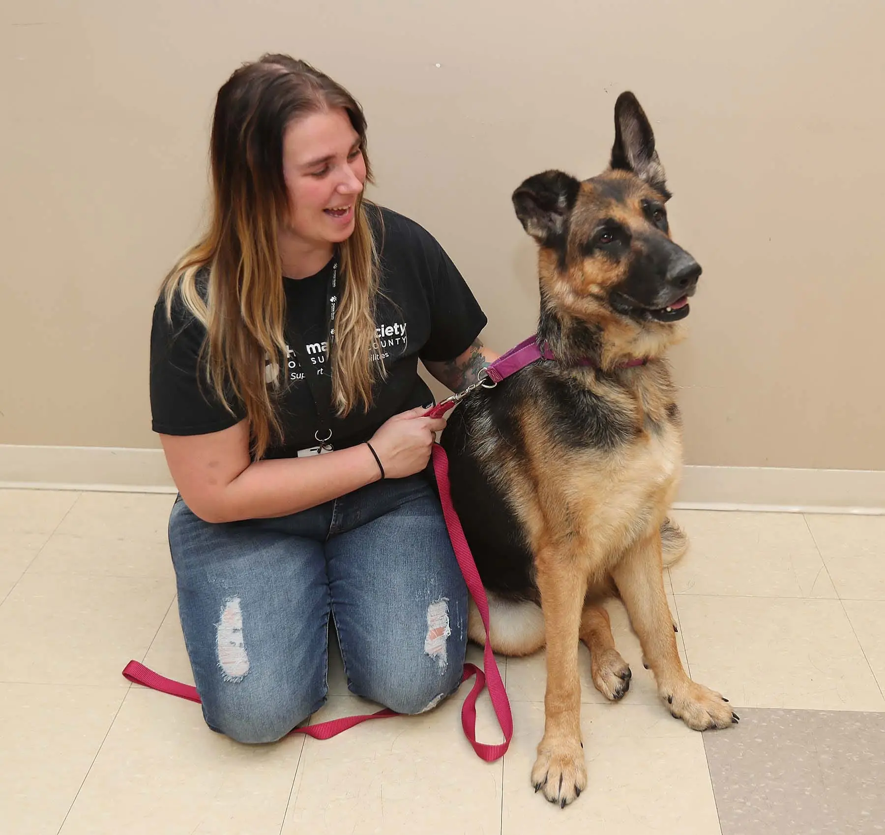 Canine Adoption Rescue League Giving Dogs a Second Chance