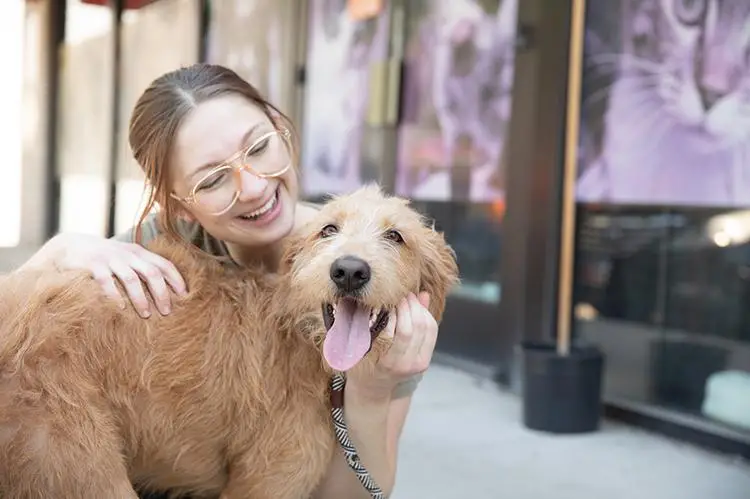 Canine Adoption Rescue League Giving Dogs a Second Chance