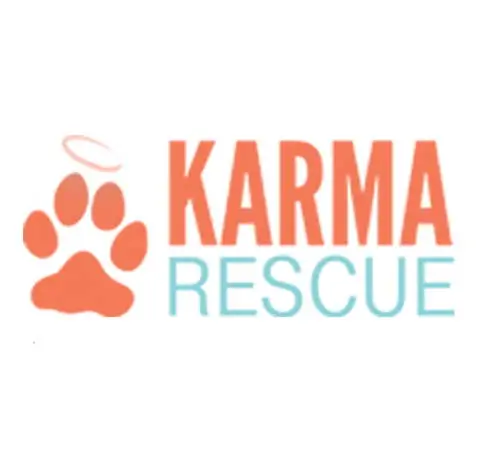 The Power of Pet Karma Rescue How Saving an Animal Can Bring You Good Fortune