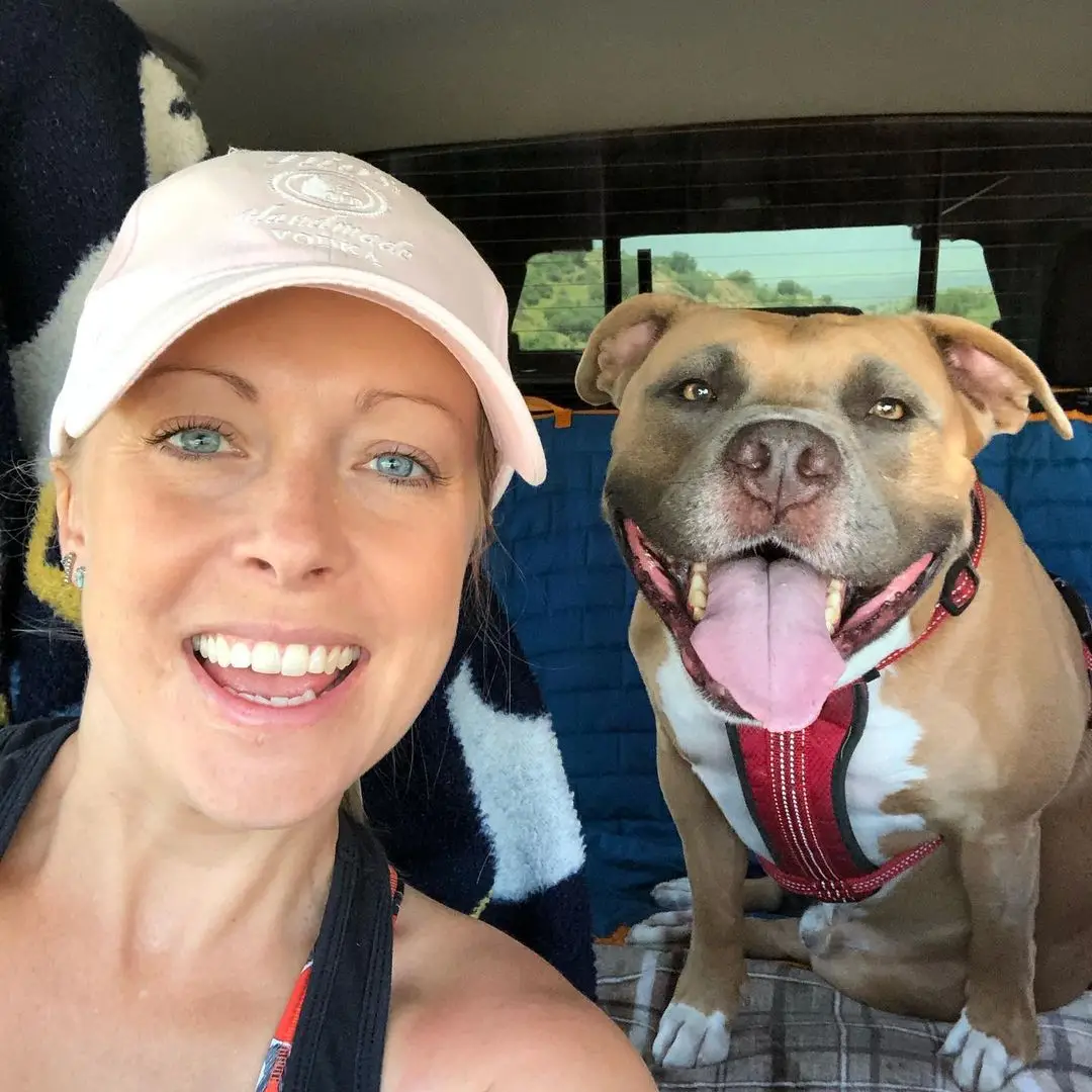 The Importance of the One Love Pit Bull Foundation