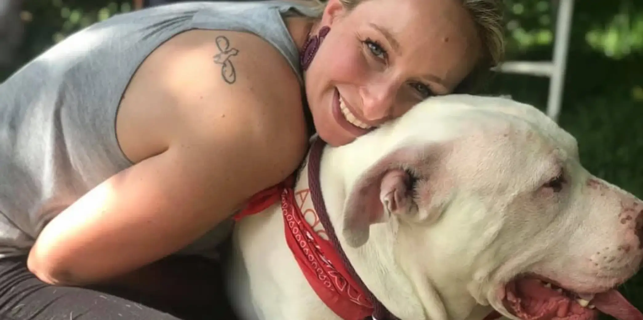 The Importance of the One Love Pit Bull Foundation