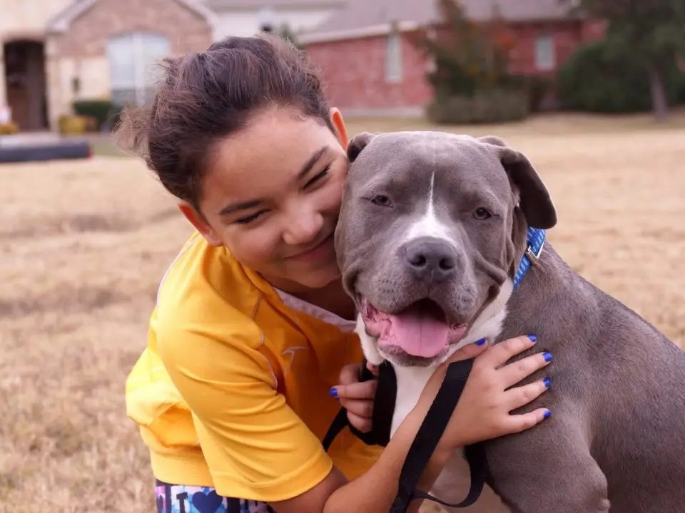 Top 5 Pit Bull Organizations Fighting for the Breed's Rights