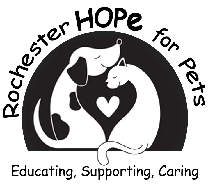 Hope Fur Paws Rescue Saving the Lives of Abandoned Animals